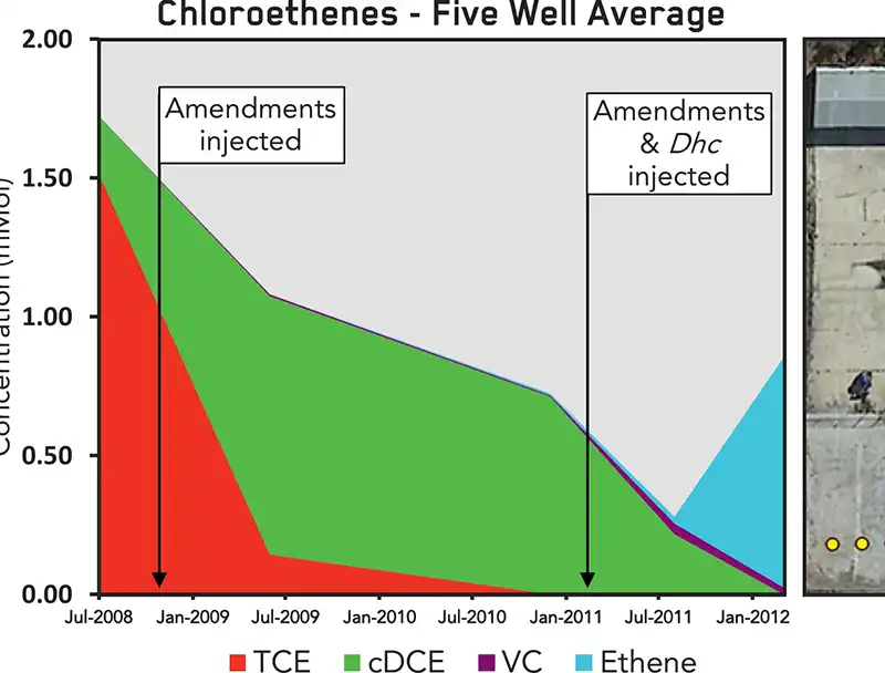TCE bioremediation chart showing TCE declining, temporary cDCE accumulation and ethene production after bioaugmentation.